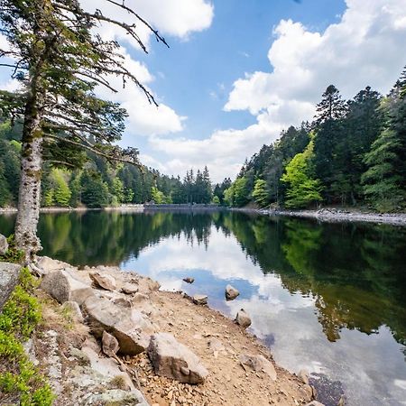 Spacieux Et Confortables Gites A Proximite Randonnees, Lacs, Ski Nature Sondernach Dış mekan fotoğraf