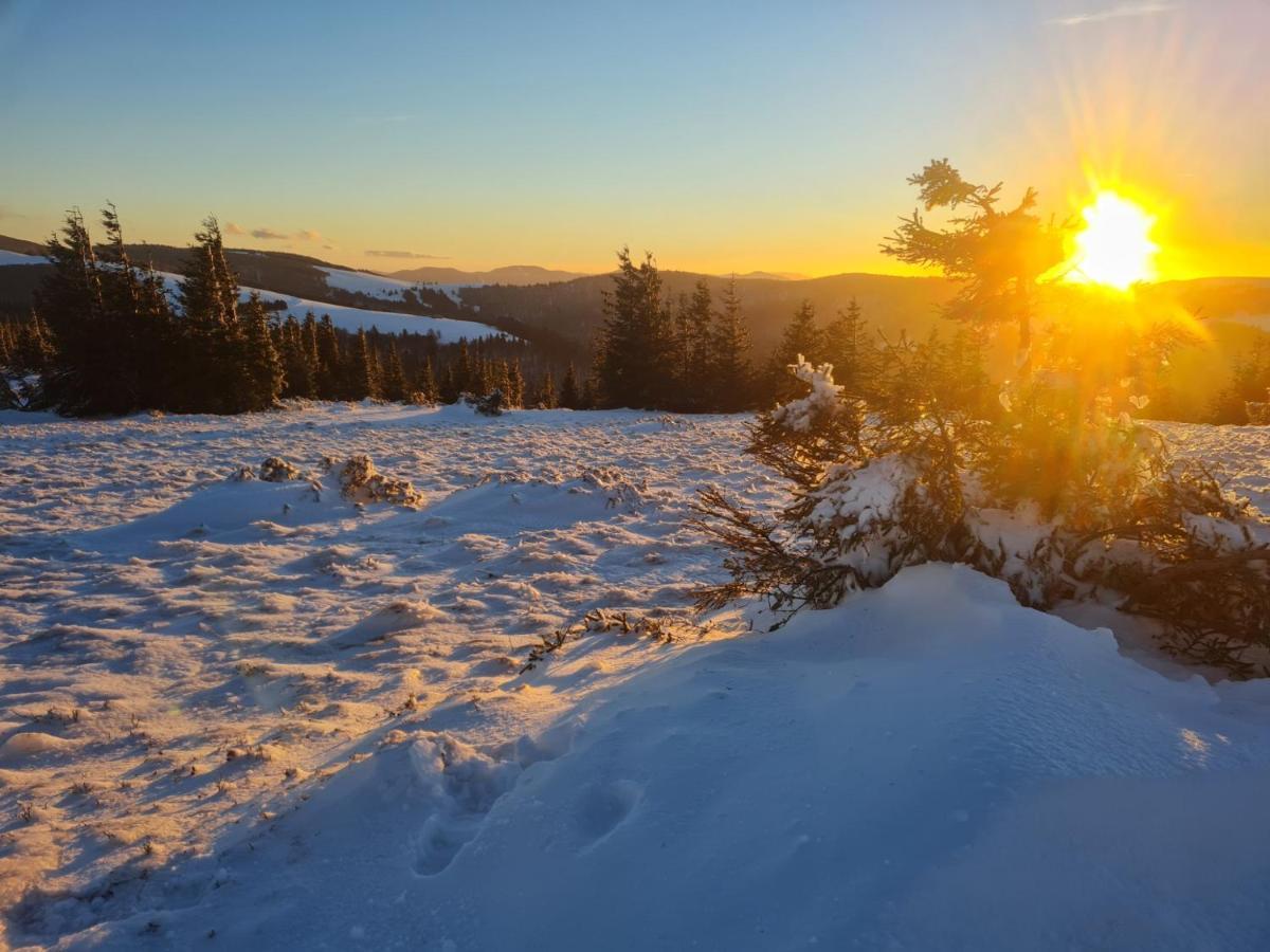 Spacieux Et Confortables Gites A Proximite Randonnees, Lacs, Ski Nature Sondernach Dış mekan fotoğraf
