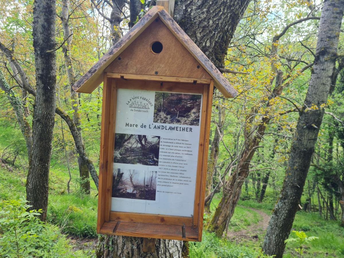 Spacieux Et Confortables Gites A Proximite Randonnees, Lacs, Ski Nature Sondernach Dış mekan fotoğraf