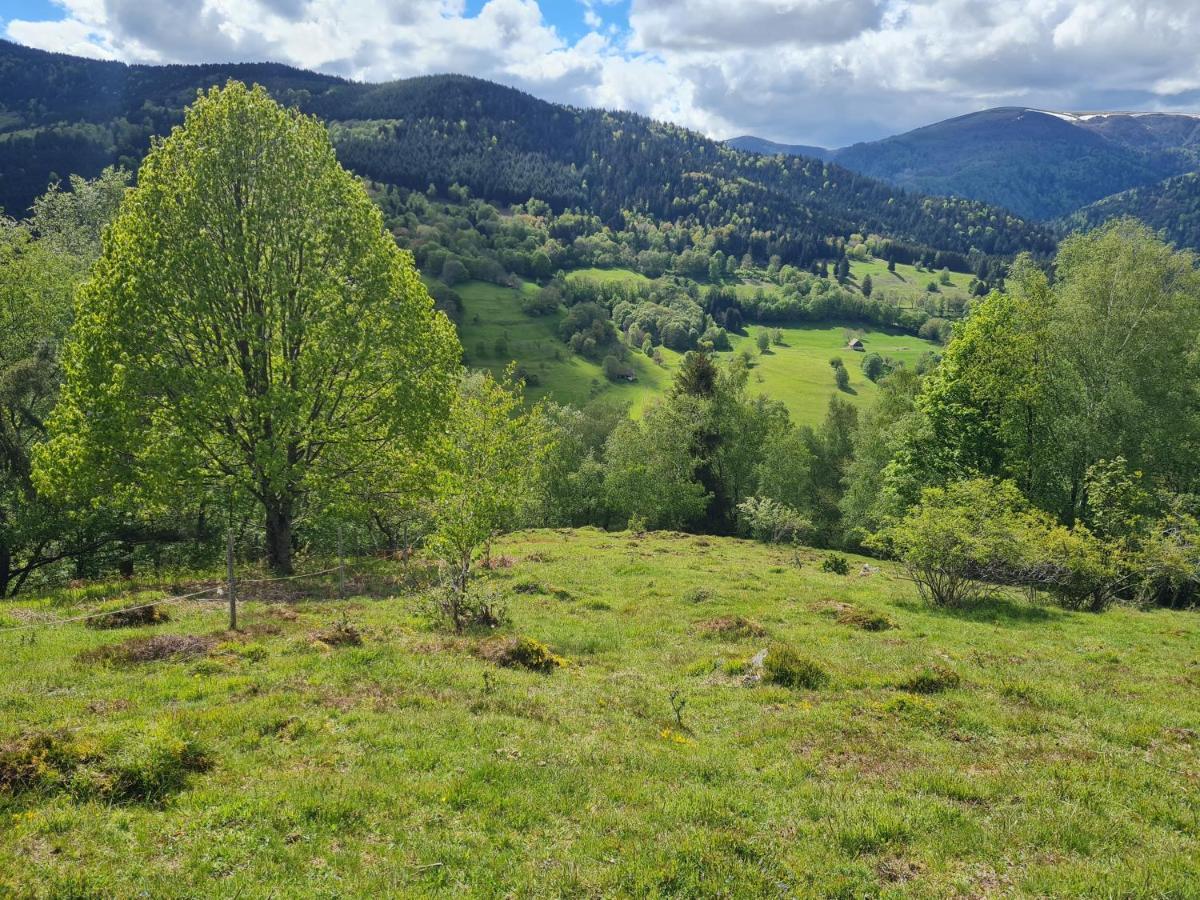Spacieux Et Confortables Gites A Proximite Randonnees, Lacs, Ski Nature Sondernach Dış mekan fotoğraf