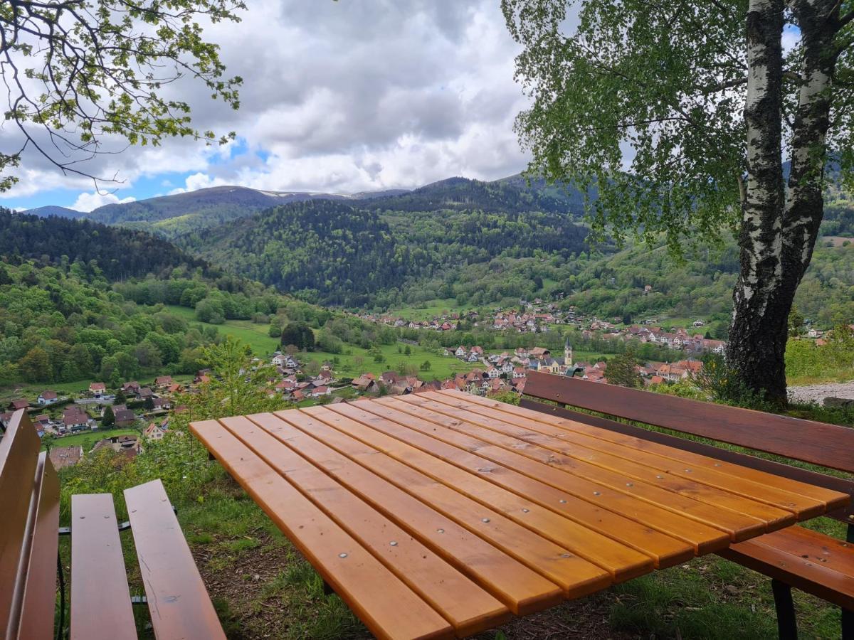 Spacieux Et Confortables Gites A Proximite Randonnees, Lacs, Ski Nature Sondernach Dış mekan fotoğraf