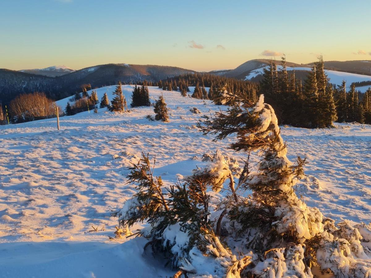 Spacieux Et Confortables Gites A Proximite Randonnees, Lacs, Ski Nature Sondernach Dış mekan fotoğraf