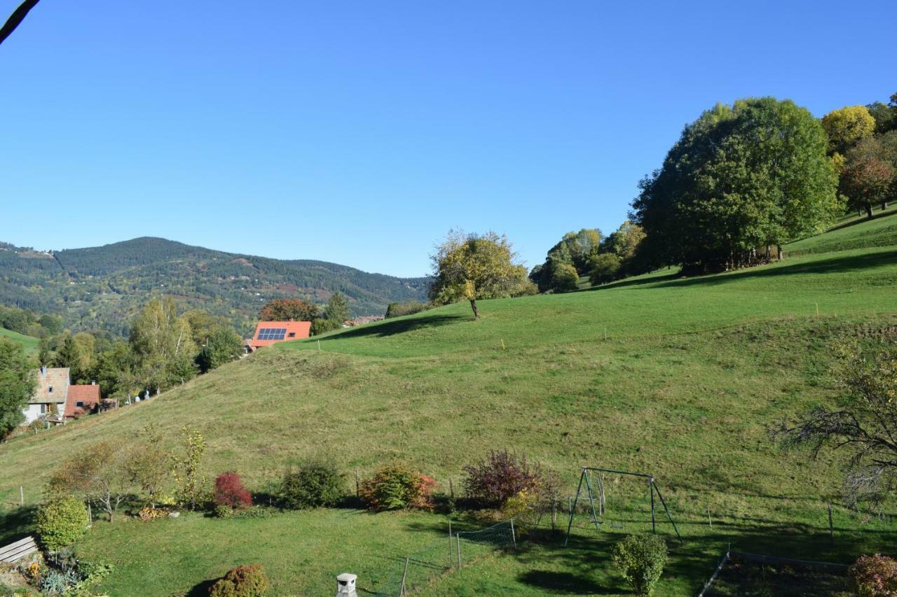 Spacieux Et Confortables Gites A Proximite Randonnees, Lacs, Ski Nature Sondernach Dış mekan fotoğraf