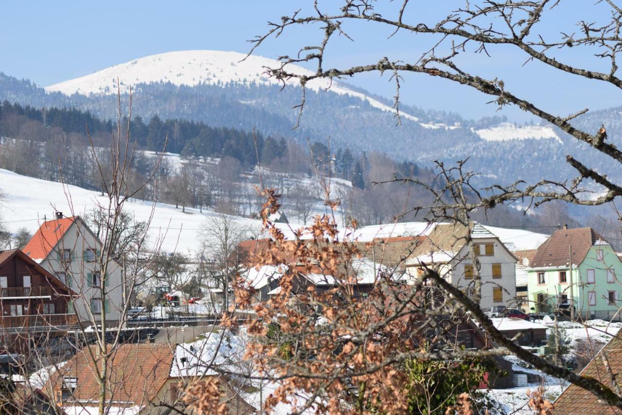 Spacieux Et Confortables Gites A Proximite Randonnees, Lacs, Ski Nature Sondernach Dış mekan fotoğraf