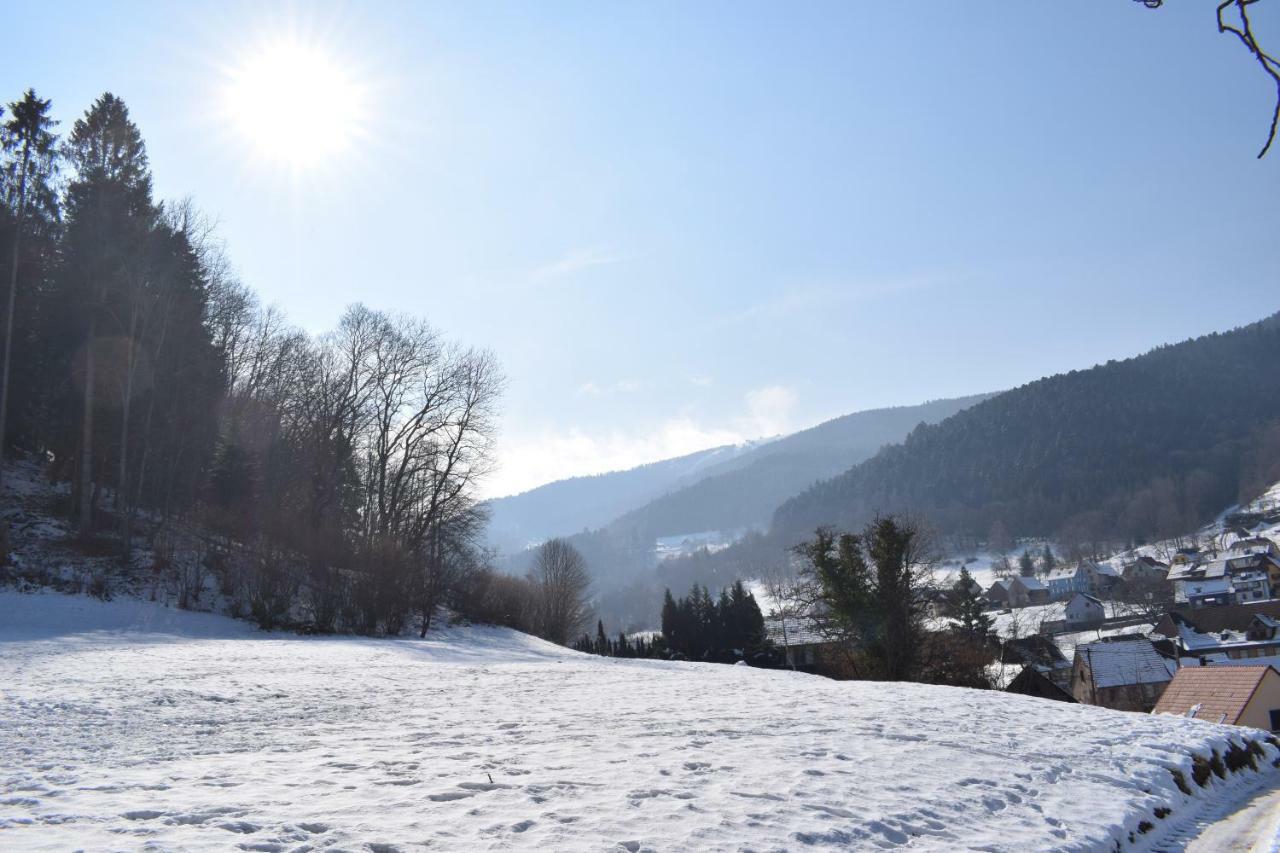 Spacieux Et Confortables Gites A Proximite Randonnees, Lacs, Ski Nature Sondernach Dış mekan fotoğraf
